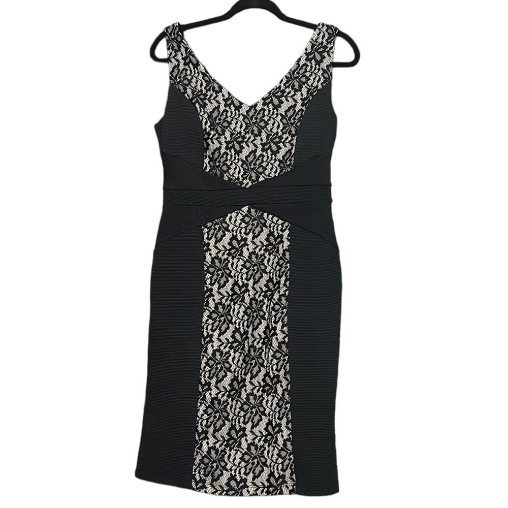 Shelby & Palmer Lace Black and Nude Tight Dress, Size 8
